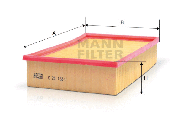 Air Filter (C 26 138/1)