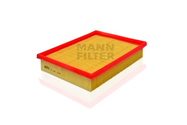 Air Filter (C 25 116)