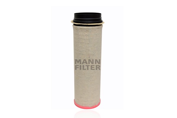Secondary Air Filter (CF 1651)