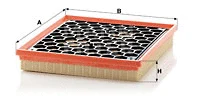 Air Filter (C 29 145)