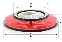 Air Filter (C 2821)