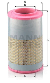 Air Filter (C 22 478/1)