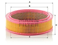 Air Filter (C 2443/1)