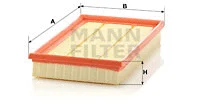 Air Filter (C 2998)