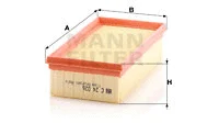 Air Filter (C 24 026)