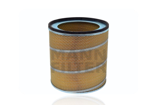 Air Filter (C 36 840/1)