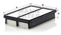 Air Filter (C 2631)