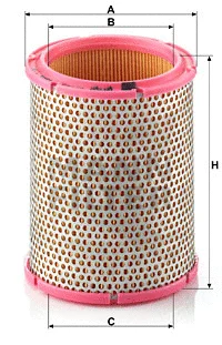 Air Filter (C 1440/1)
