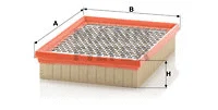 Air Filter (C 2494)