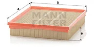 Air Filter (C 25 135)
