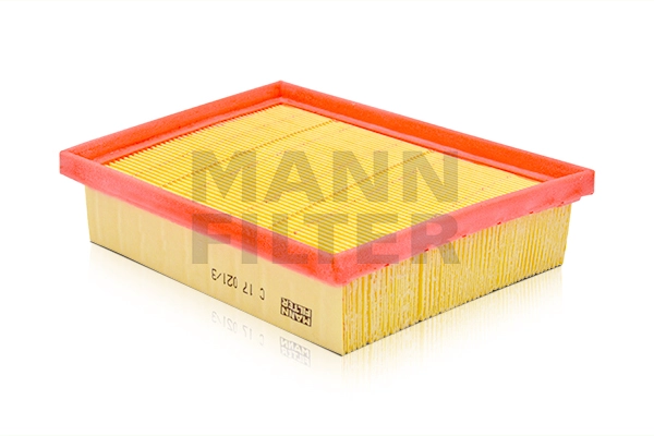 Air Filter (C 17 021/3)