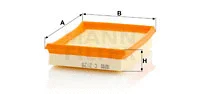 Air Filter (C 2129)