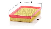 Air Filter (C 2463)