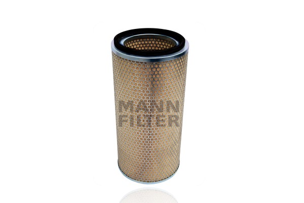 Air Filter (C 21 493)