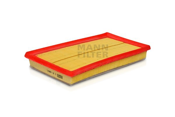 Air Filter (C 31 028/1)