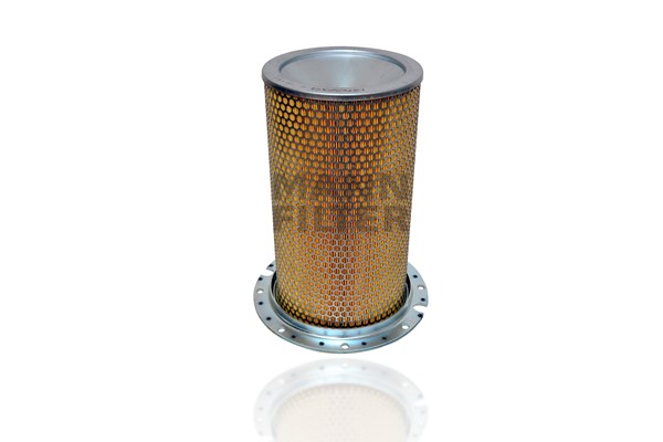 Secondary Air Filter (C 20 187)