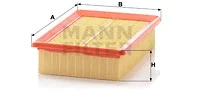 Air Filter (C 25 100)