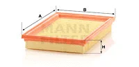 Air Filter (C 2851)
