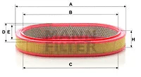 Air Filter (C 3338)