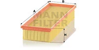 Air Filter (C 37 132)