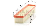 Air Filter (C 3875)