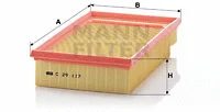 Air Filter (C 29 117)