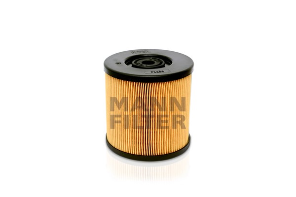 Fuel Filter (P 1234)