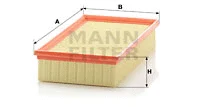 Air Filter (C 29 118)