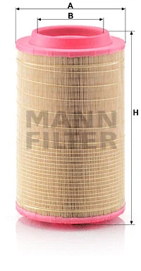 Air Filter (C 25 860/5)