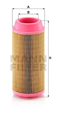 Air Filter (C 11 100)