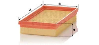 Air Filter (C 2658)