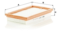 Air Filter (C 2420)
