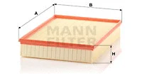 Air Filter (C 4312/1)