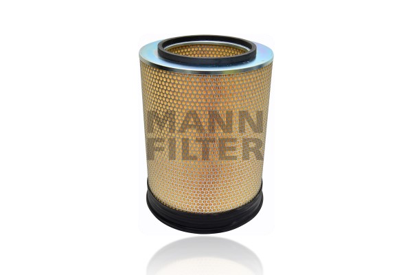 Air Filter (C 31 1227)