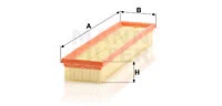 Air Filter (C 4371/1)