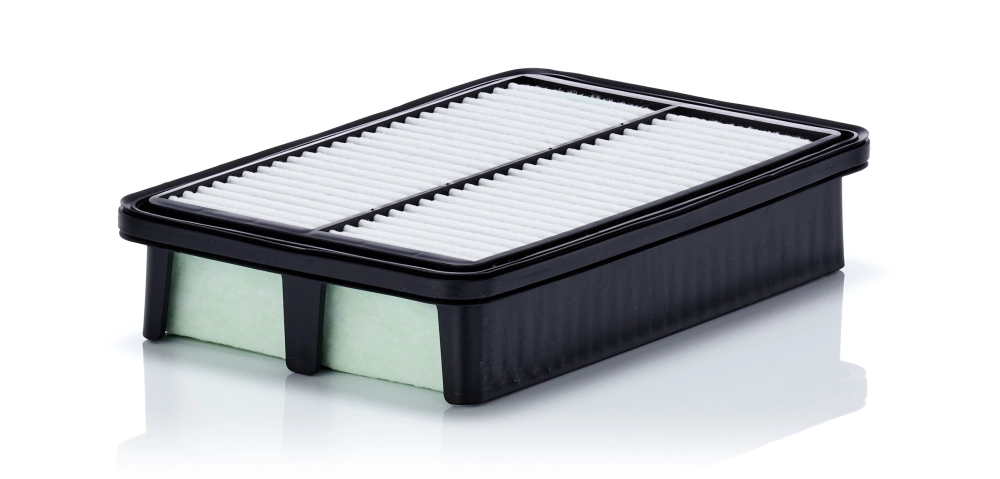 Air Filter (C 24 071)