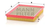 Air Filter (C 2975)