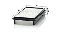 Air Filter (C 2537/2)
