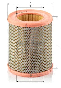 Air Filter (C 16 113)
