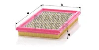 Air Filter (C 2966)