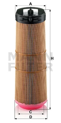Air Filter (C 12 133)