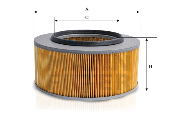 Air Filter (C 22 181)
