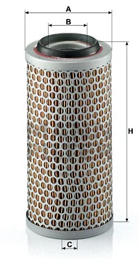 Air Filter (C 1176/3)