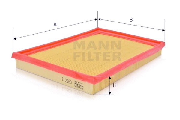 Air Filter (C 2969)