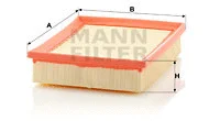 Air Filter (C 2490)