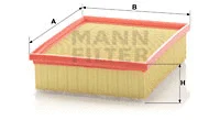 Air Filter (C 25 118/1)