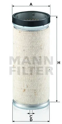 Secondary Air Filter (CF 820)