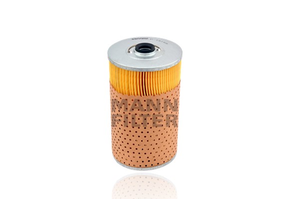 Fuel Filter (P 15 159)