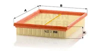 Air Filter (C 2376)