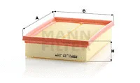 Air Filter (C 24 028)